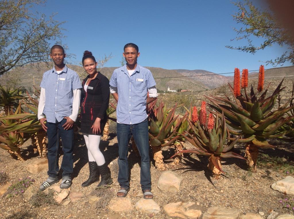 Karoo View Cottages Prince Albert Eksteriør bilde